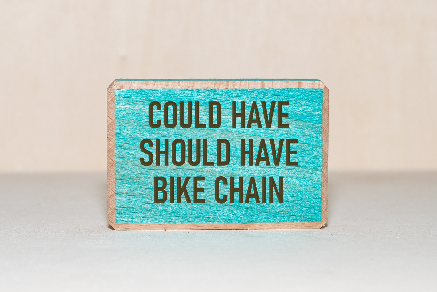 Could have, should have, bike chain