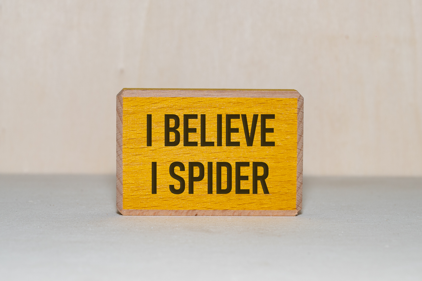 I Believe I Spider